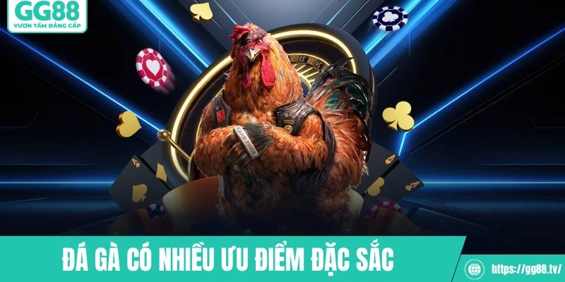 Ưu điểm đặc sắc hội tụ đầy đủ tại danh mục