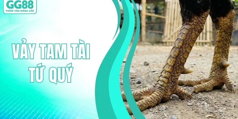 Vảy Tam Tài Tứ Quý - Thế Vảy Huyền Bí Tạo Nên Huyền Thoại